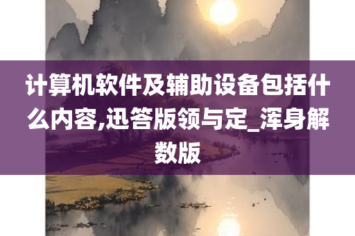 计算机软件及辅助设备包括什么内容,迅答版领与定_浑身解数版