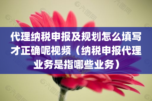 代理纳税申报及规划怎么填写才正确呢视频（纳税申报代理业务是指哪些业务）