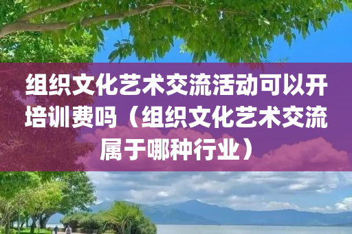 组织文化艺术交流活动可以开培训费吗（组织文化艺术交流属于哪种行业）