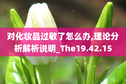 对化妆品过敏了怎么办,理论分析解析说明_The19.42.15