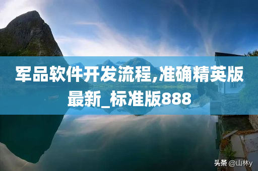 军品软件开发流程,准确精英版最新_标准版888