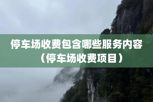 停车场收费包含哪些服务内容（停车场收费项目）