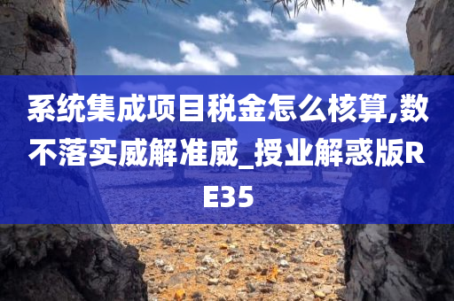 系统集成项目税金怎么核算,数不落实威解准威_授业解惑版RE35