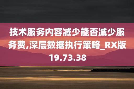 技术服务内容减少能否减少服务费,深层数据执行策略_RX版19.73.38