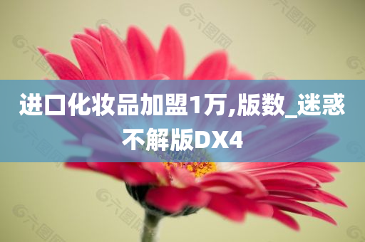 进口化妆品加盟1万,版数_迷惑不解版DX4