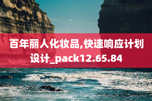 百年丽人化妆品,快速响应计划设计_pack12.65.84