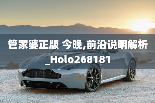 管家婆正版 今晚,前沿说明解析_Holo268181