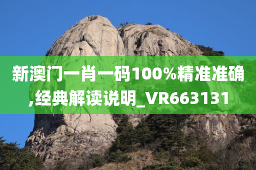 新澳门一肖一码100%精准准确,经典解读说明_VR663131