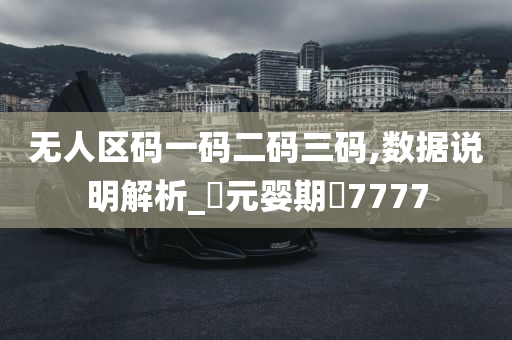 无人区码一码二码三码,数据说明解析_‌元婴期‌7777