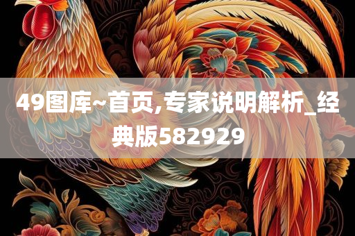 49图库~首页,专家说明解析_经典版582929