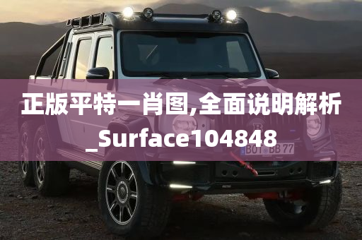 正版平特一肖图,全面说明解析_Surface104848