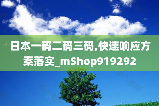 日本一码二码三码,快速响应方案落实_mShop919292