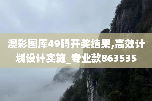 澳彩图库49码开奖结果,高效计划设计实施_专业款863535