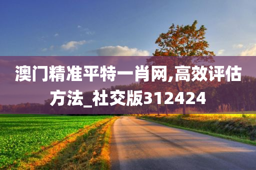 澳门精准平特一肖网,高效评估方法_社交版312424