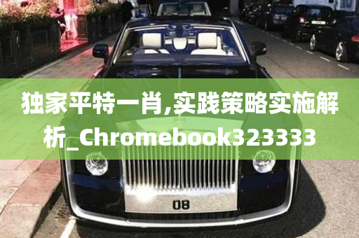 独家平特一肖,实践策略实施解析_Chromebook323333