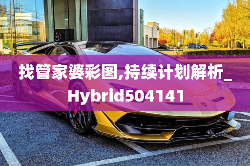 找管家婆彩图,持续计划解析_Hybrid504141