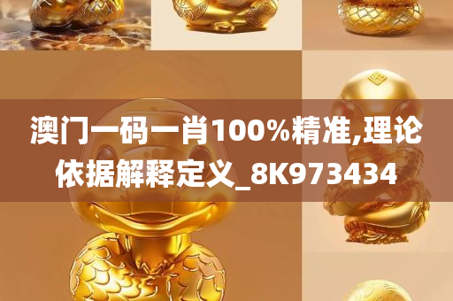 澳门一码一肖100%精准,理论依据解释定义_8K973434