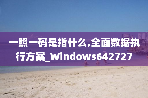 一照一码是指什么,全面数据执行方案_Windows642727