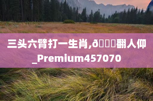 三头六臂打一生肖,🐎翻人仰_Premium457070