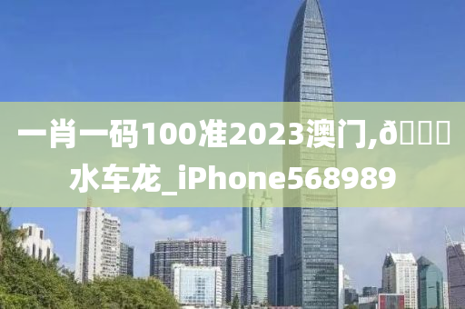 一肖一码100准2023澳门,🐎水车龙_iPhone568989