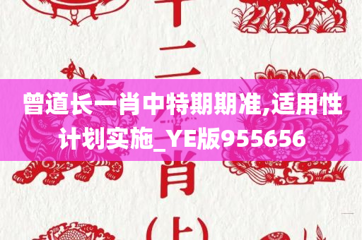 曾道长一肖中特期期准,适用性计划实施_YE版955656