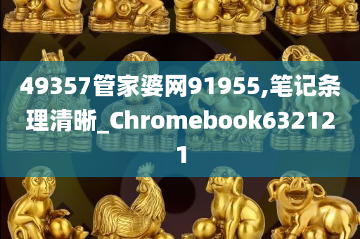 49357管家婆网91955,笔记条理清晰_Chromebook632121