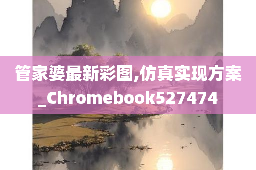 管家婆最新彩图,仿真实现方案_Chromebook527474