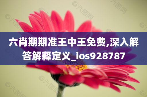 六肖期期准王中王免费,深入解答解释定义_ios928787