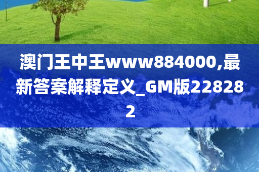 澳门王中王www884000,最新答案解释定义_GM版228282