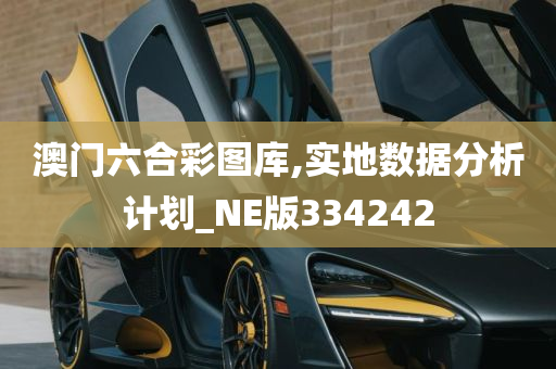 澳门六合彩图库,实地数据分析计划_NE版334242