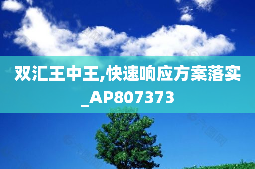 双汇王中王,快速响应方案落实_AP807373