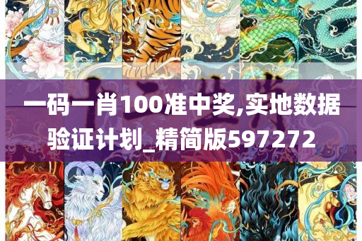 一码一肖100准中奖,实地数据验证计划_精简版597272