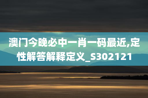 澳门今晚必中一肖一码最近,定性解答解释定义_S302121