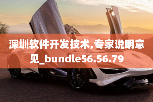 深圳软件开发技术,专家说明意见_bundle56.56.79