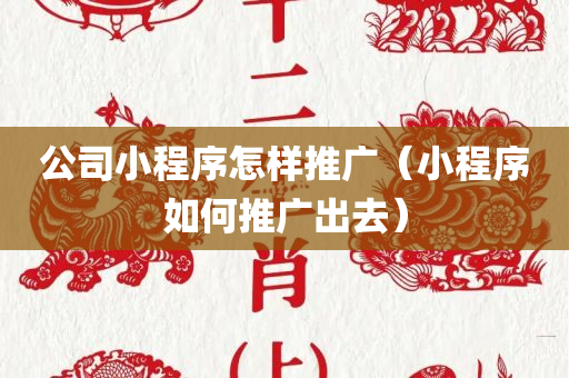 公司小程序怎样推广（小程序如何推广出去）