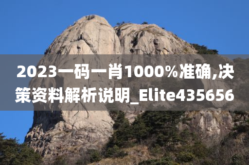 2023一码一肖1000%准确,决策资料解析说明_Elite435656