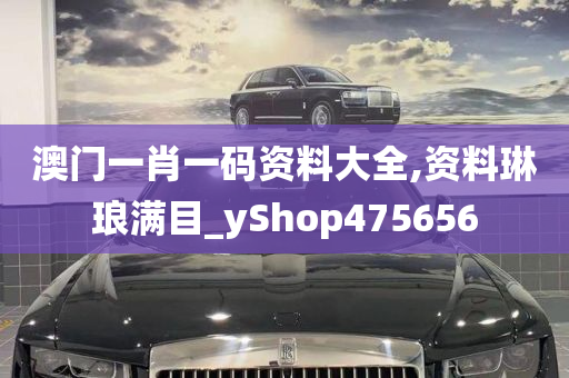 澳门一肖一码资料大全,资料琳琅满目_yShop475656