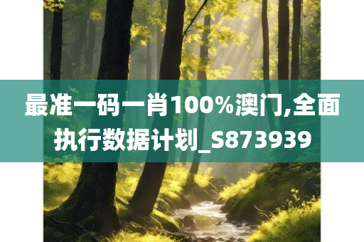 最准一码一肖100%澳门,全面执行数据计划_S873939