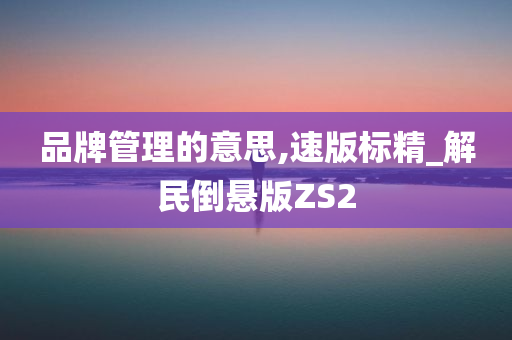 品牌管理的意思,速版标精_解民倒悬版ZS2