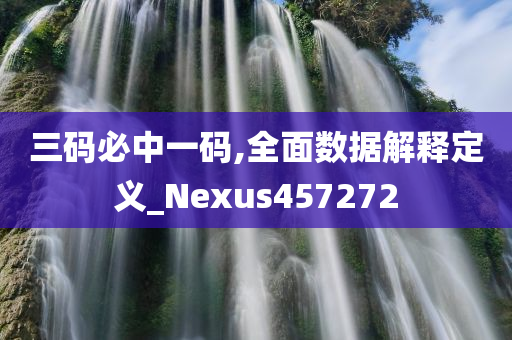 三码必中一码,全面数据解释定义_Nexus457272