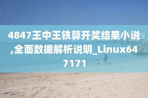 4847王中王铁算开奖结果小说,全面数据解析说明_Linux647171