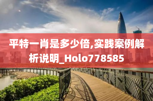 平特一肖是多少倍,实践案例解析说明_Holo778585