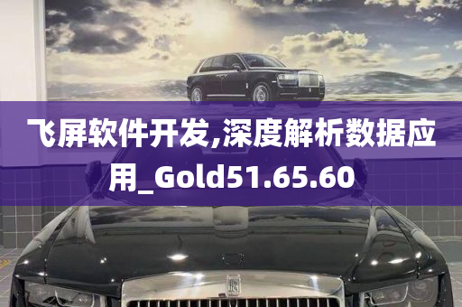 飞屏软件开发,深度解析数据应用_Gold51.65.60