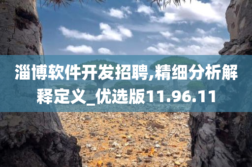 淄博软件开发招聘,精细分析解释定义_优选版11.96.11