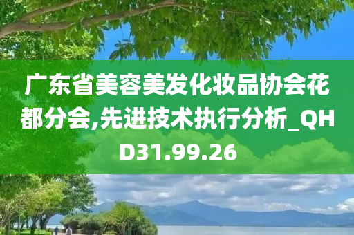 广东省美容美发化妆品协会花都分会,先进技术执行分析_QHD31.99.26