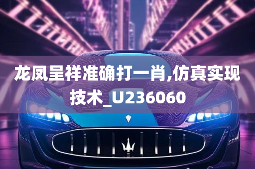 龙凤呈祥准确打一肖,仿真实现技术_U236060