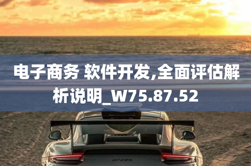 电子商务 软件开发,全面评估解析说明_W75.87.52