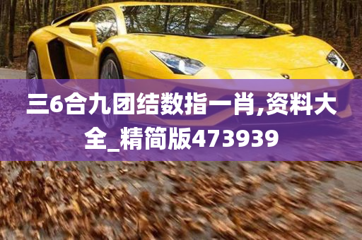 三6合九团结数指一肖,资料大全_精简版473939