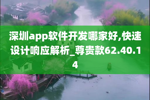 深圳app软件开发哪家好,快速设计响应解析_尊贵款62.40.14