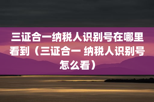 三证合一纳税人识别号在哪里看到（三证合一 纳税人识别号怎么看）